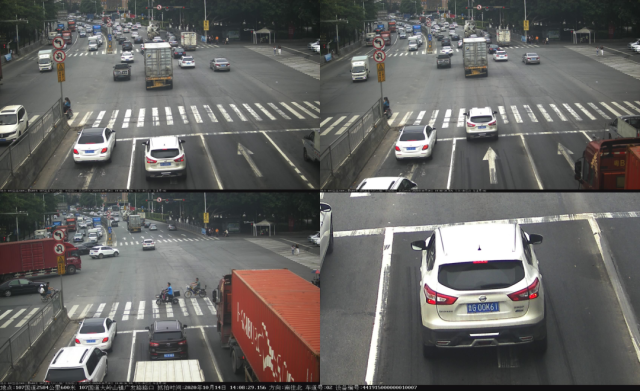 地址|大岭山镇文明搜曝（第三十六期）