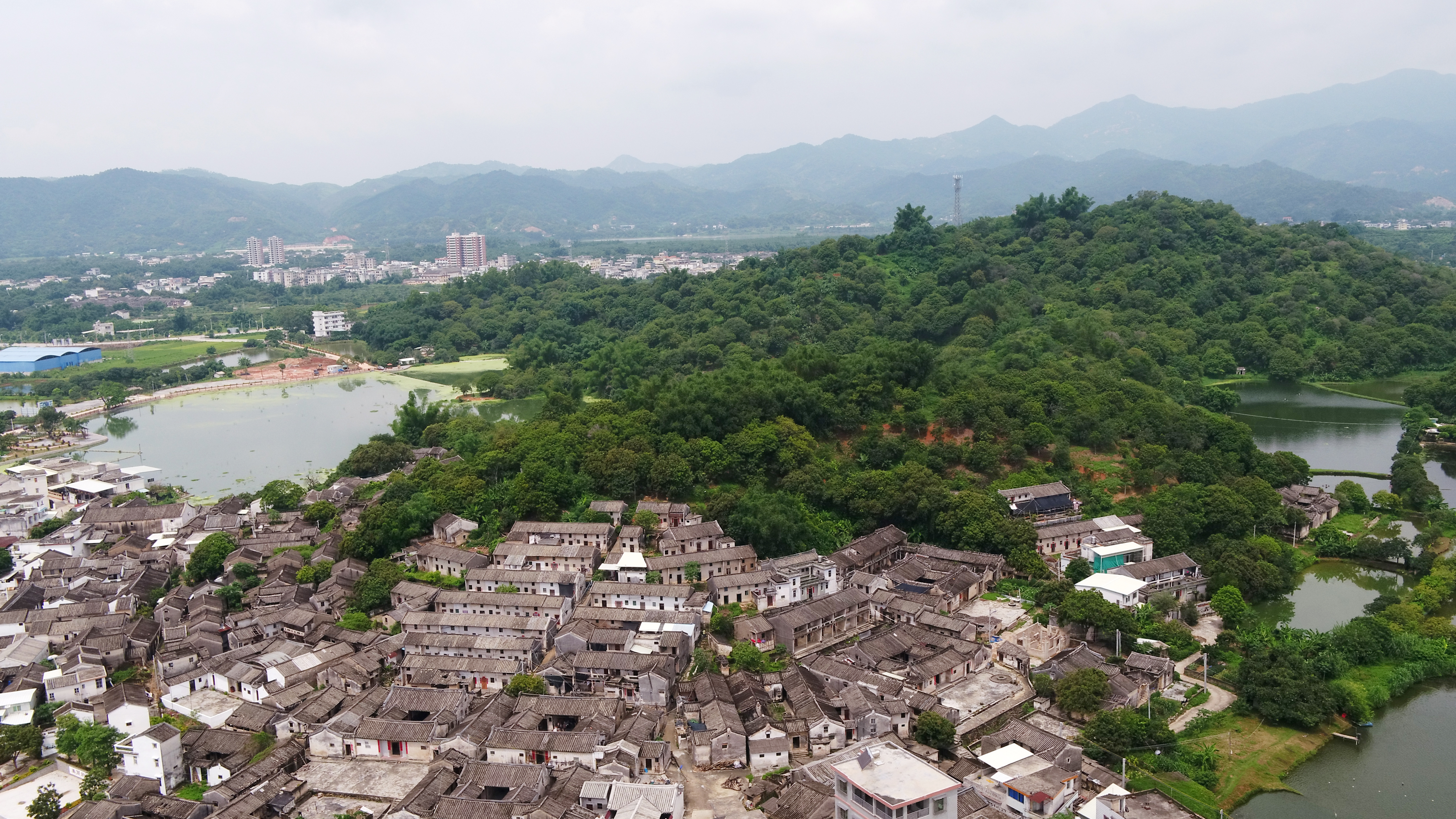 潮安区狮峰村已是远近闻名的“网红村”。