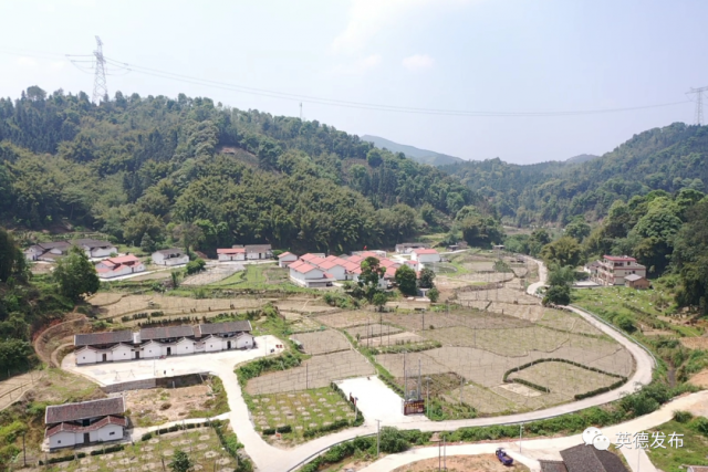 黄塘村|【乡村新闻官·英德播报71】哎呀!英德这条村真“香”