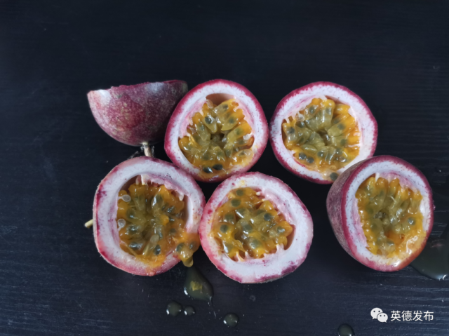 黄塘村|【乡村新闻官·英德播报71】哎呀!英德这条村真“香”