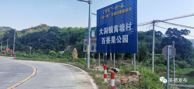 黄塘村|【乡村新闻官·英德播报71】哎呀!英德这条村真“香”