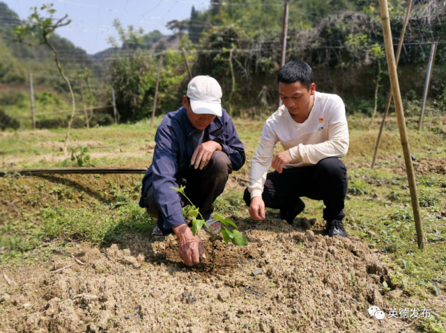 黄塘村|【乡村新闻官·英德播报71】哎呀!英德这条村真“香”