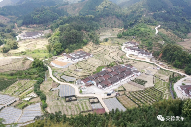 黄塘村|【乡村新闻官·英德播报71】哎呀!英德这条村真“香”
