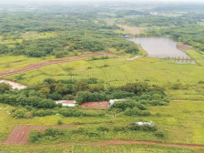 韶关湖口村：党建带“六社”，乡村治理显身手