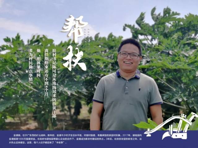 村民|【我们的城市，我们的茂名（40）】一组图片故事，看茂南区金塘镇收获答卷！