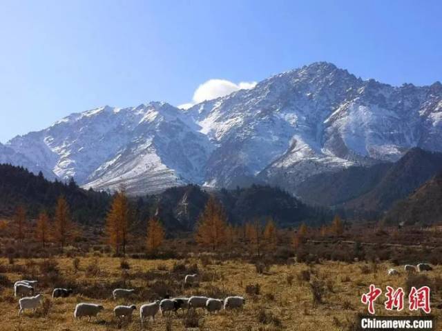 霜降|今日霜降丨霜降水返壑，风落木归山