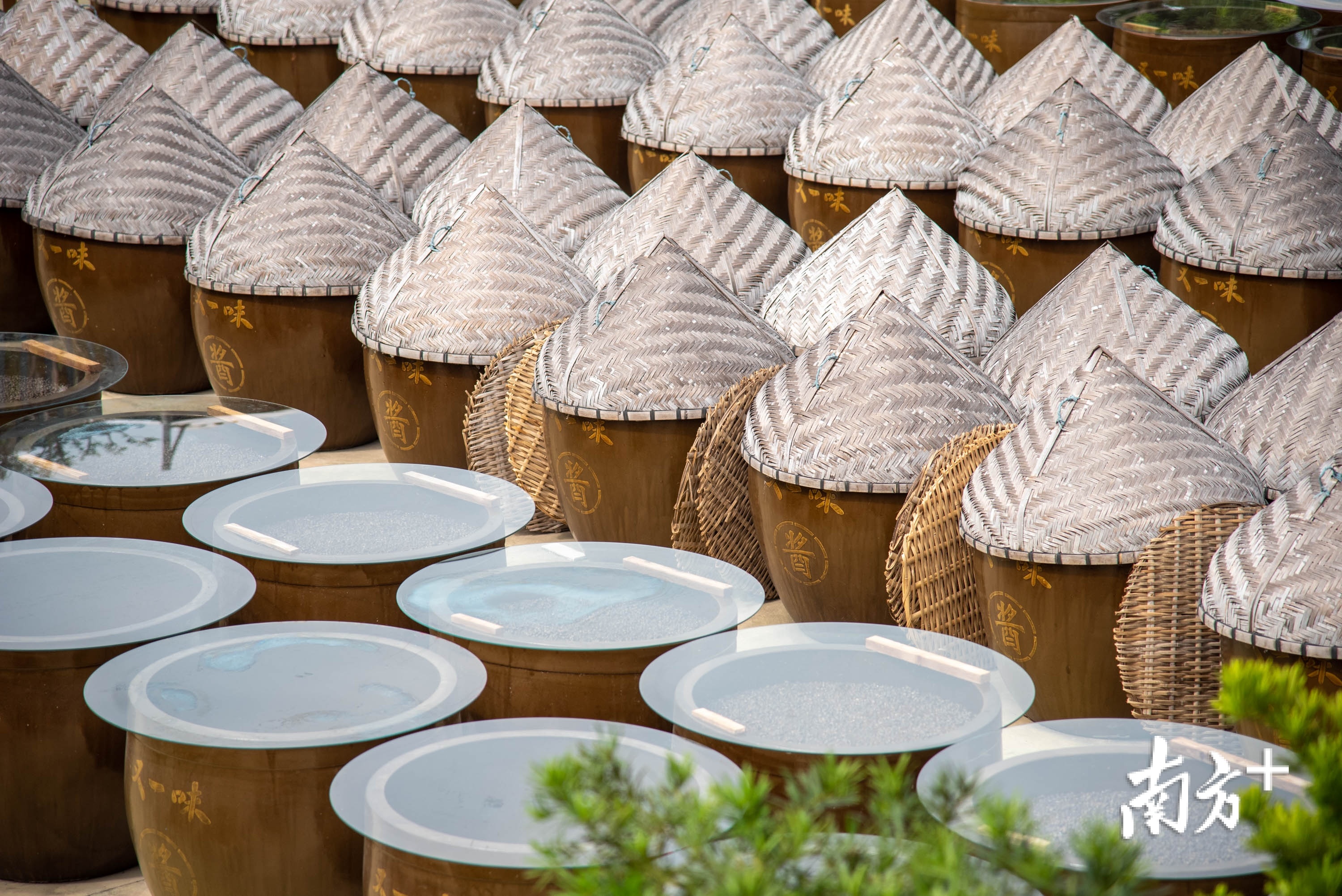 "又一味豆酱"与"又一味酱油"露天晾晒场.