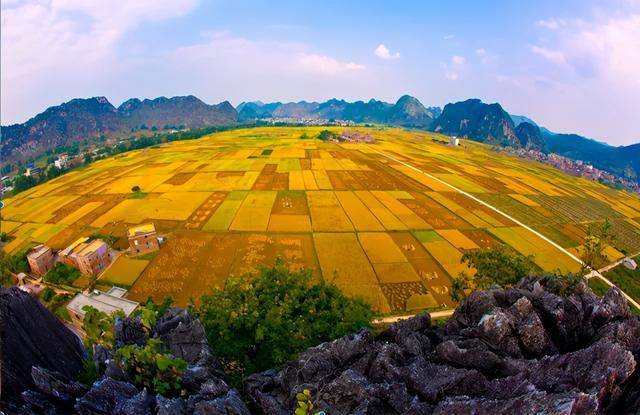罗定|2020广东云浮·罗定稻米节暨南药道地药材优势区域品牌推介活动今日开幕