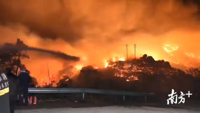 人员|汕头南澳突发森林火灾，火势蔓延迅速，当地正全力扑救