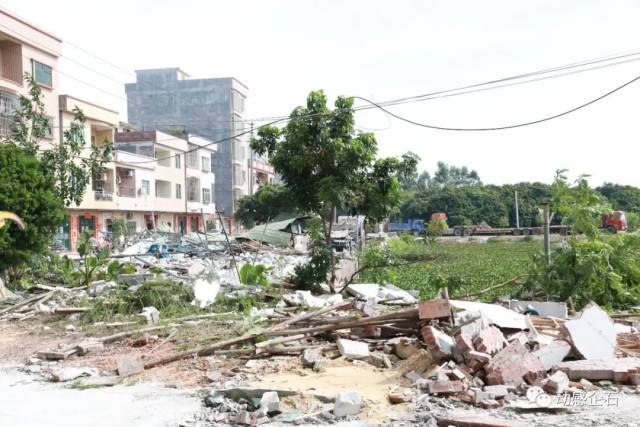 农田|我镇依法拆除高标准农田项目内违法建筑