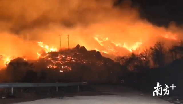 人员|汕头南澳突发森林火灾，火势蔓延迅速，当地正全力扑救