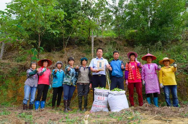 罗定|2020广东云浮·罗定稻米节暨南药道地药材优势区域品牌推介活动今日开幕
