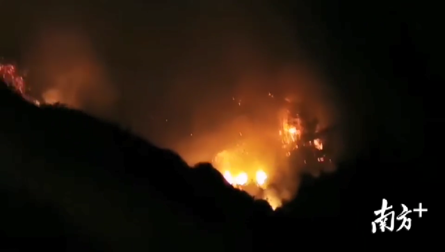 人员|汕头南澳突发森林火灾，火势蔓延迅速，当地正全力扑救