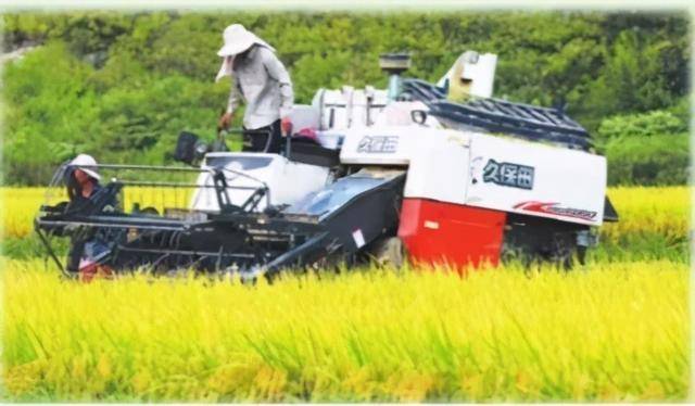 罗定|2020广东云浮·罗定稻米节暨南药道地药材优势区域品牌推介活动今日开幕