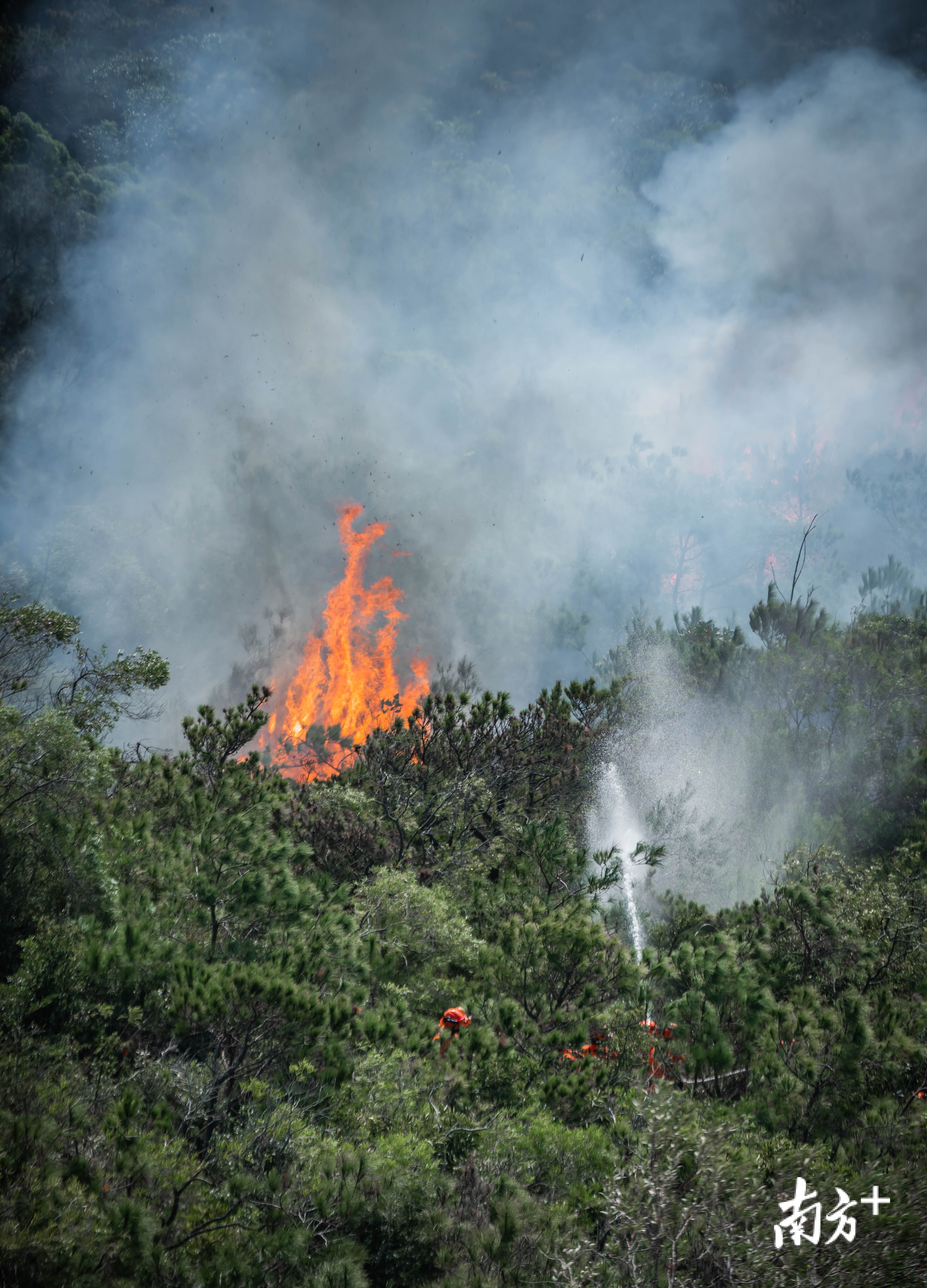 图集|汕头南澳大火的第40小时,森林消防员全力扑救