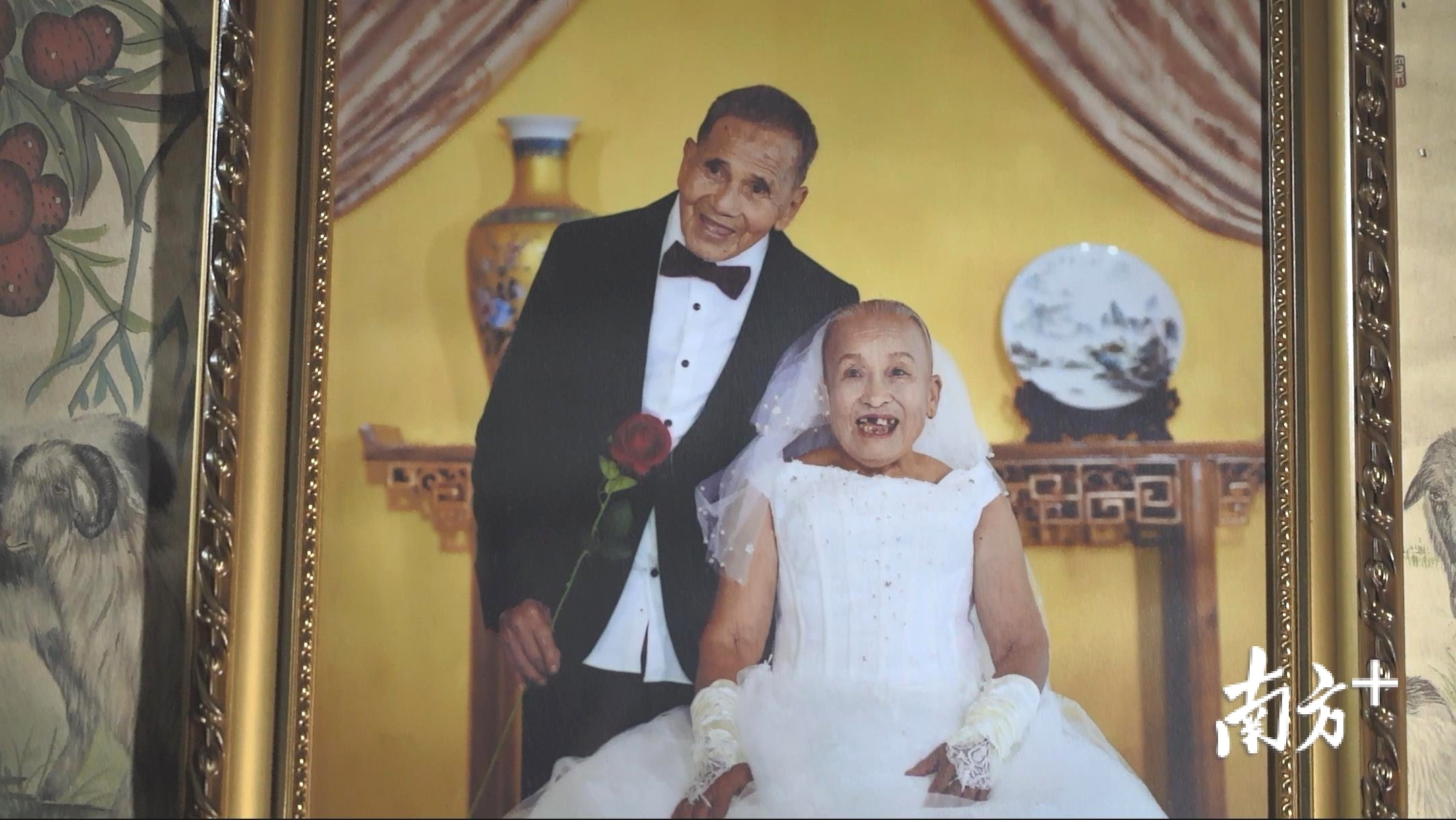 去年,蔡赞显和卢润玲穿上西式婚礼服合影。林洛峰摄。