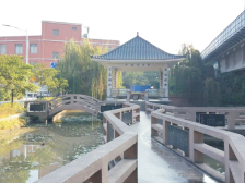 茂名车田村：党员联系户激活小村治理“一池春水”