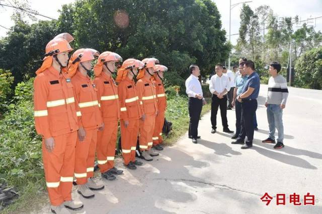 防火|电白多举措防范森林火险于未“燃”