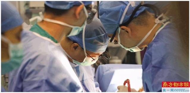 暨大附一院心脏血管外科医生用电刀将患者的心包和右肺进行游离。