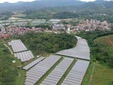 广东农村研究院副院长万忠：做强农业根基，推动实现“接二连三”