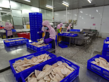 逆势上扬！电白企业“危中取机”方法论