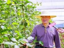 视频｜禅城区委常委陈奕：俯下身去和贫困户打成一片