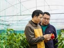 视频｜佛山市统计局副局长蔡明忠：脚踏实地助力精准扶贫