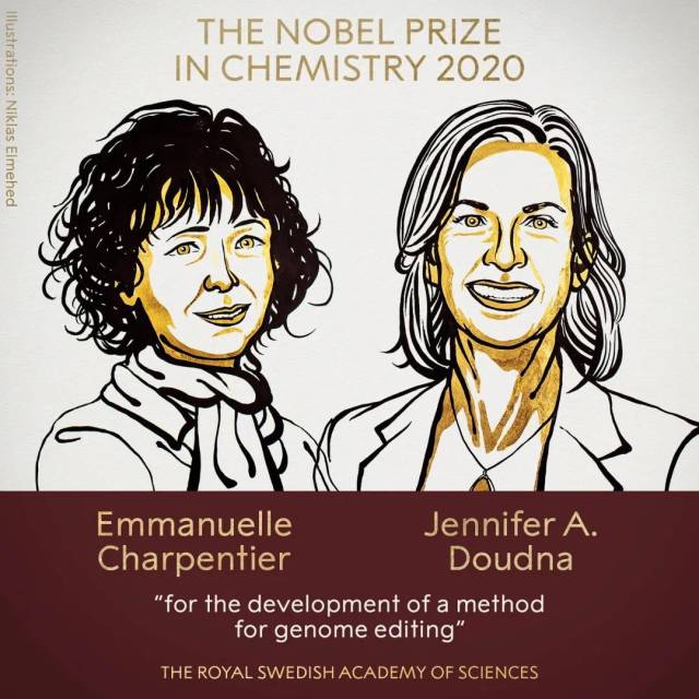  今年10月诺奖颁给两位女性科学家以表彰她们发现“基因魔剪”。