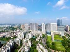 狮山吹响全域城乡融合集结号