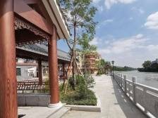 狮山十大美丽乡村今日颁奖，展示阶段性乡村振兴成果