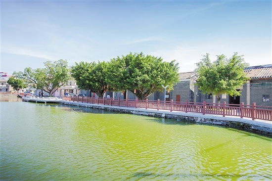 鹤山址山镇投入600多万元整治人居环境