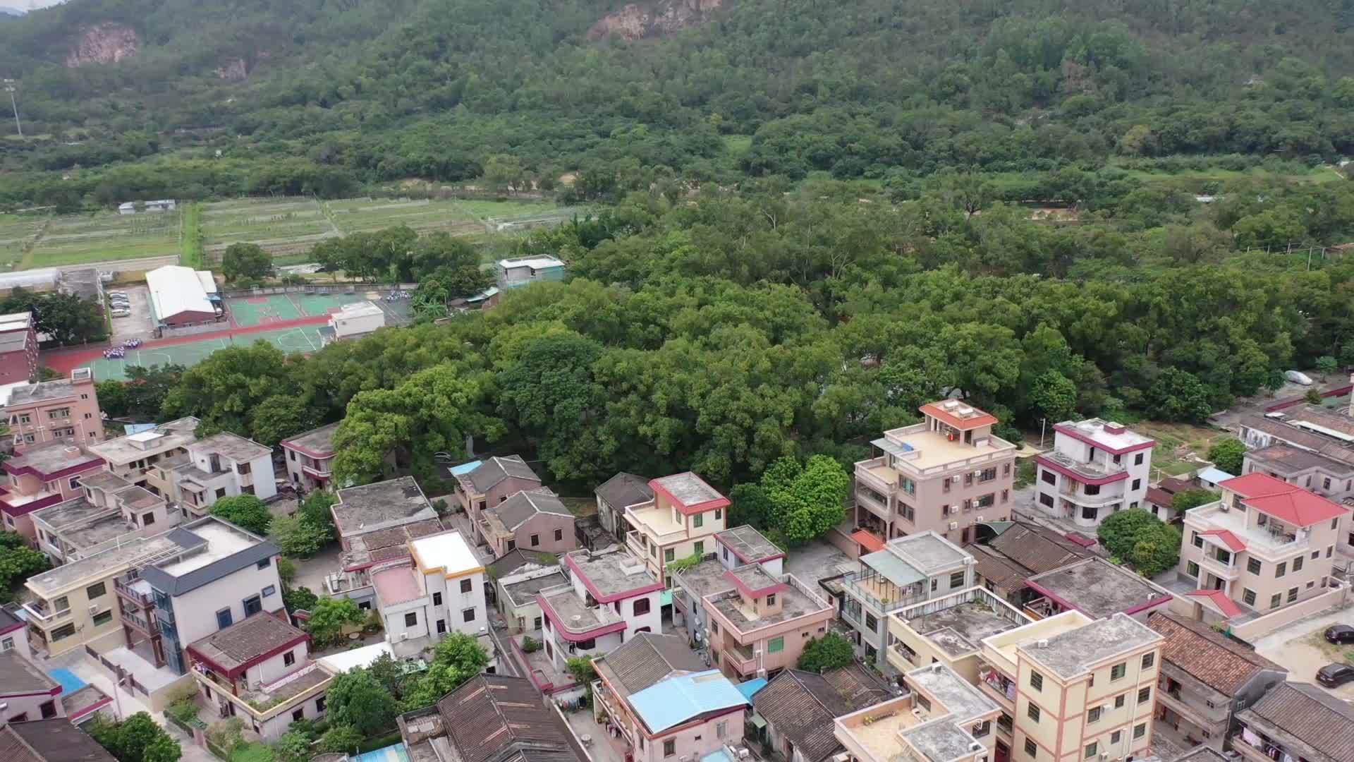 西起五桂山桂南村,东至南朗镇翠亨村的翠山公路,纵贯绿意盎然的桂南