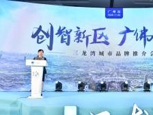 三龙湾管委会主任刘怡：选择三龙湾的8个理由