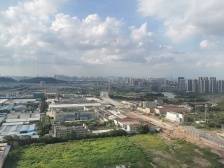 图集｜三龙湾和广州，到底有多亲？