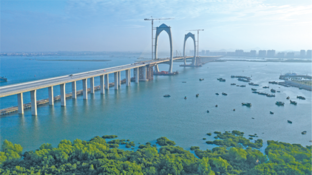 拉开大框架，向海大发展！环湾城市建设初具雏形|