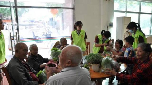 莞外打造“党-团-队”志愿服务体系，定期开展社区敬老活动