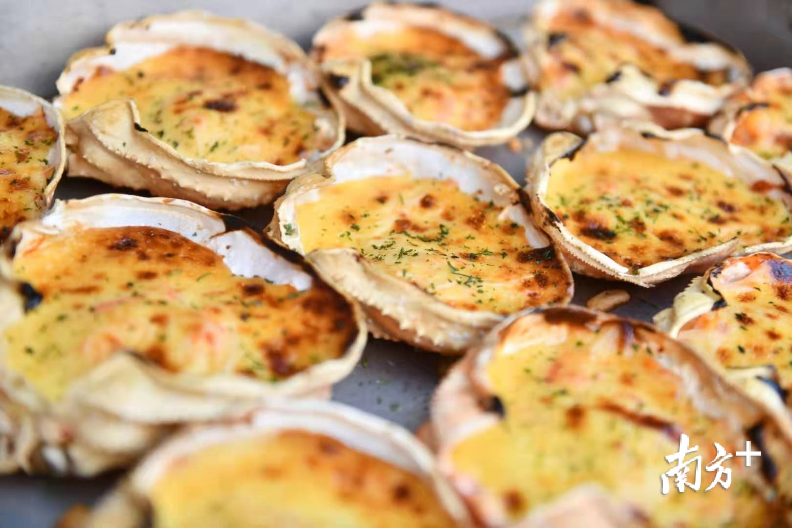 连续三周，每个周末顺德镇街餐饮名店将陆续登场。