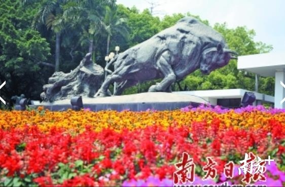 深圳市委大院门前的拓荒牛。南方日报记者 朱洪波 摄