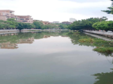 创文“万江策”⑦|万江这条河涌三年基本消除黑臭，居民满意度超90%