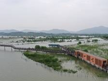 视频｜蝶变的惠州考洲洋，红树林成鹭鸟天堂