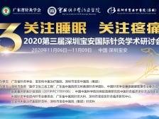 海外学者报告专场（2020年11月8日C会场，8：30~11：30）