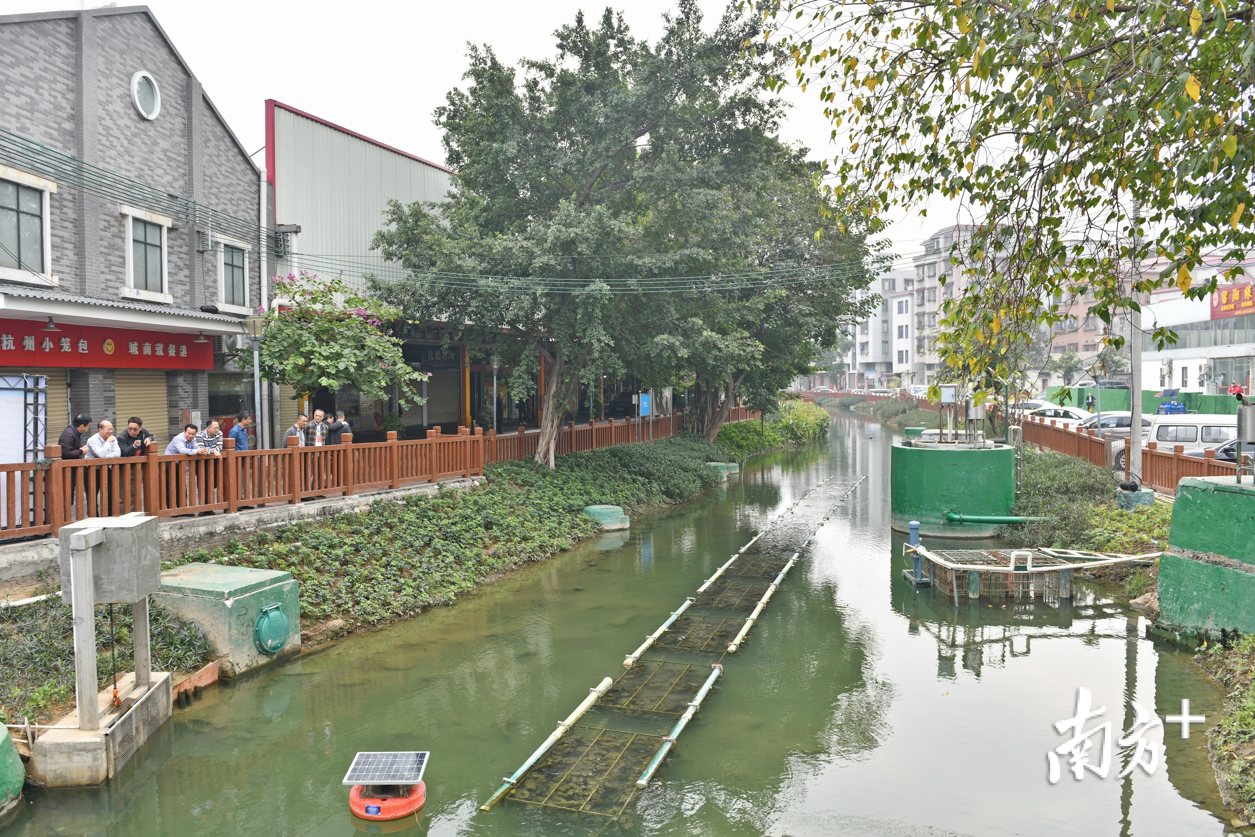 大力整治后的深村田心涌,水质和河岸环境大为改善。 大力整治后的深村田心涌,水质和河岸环境大为改善。