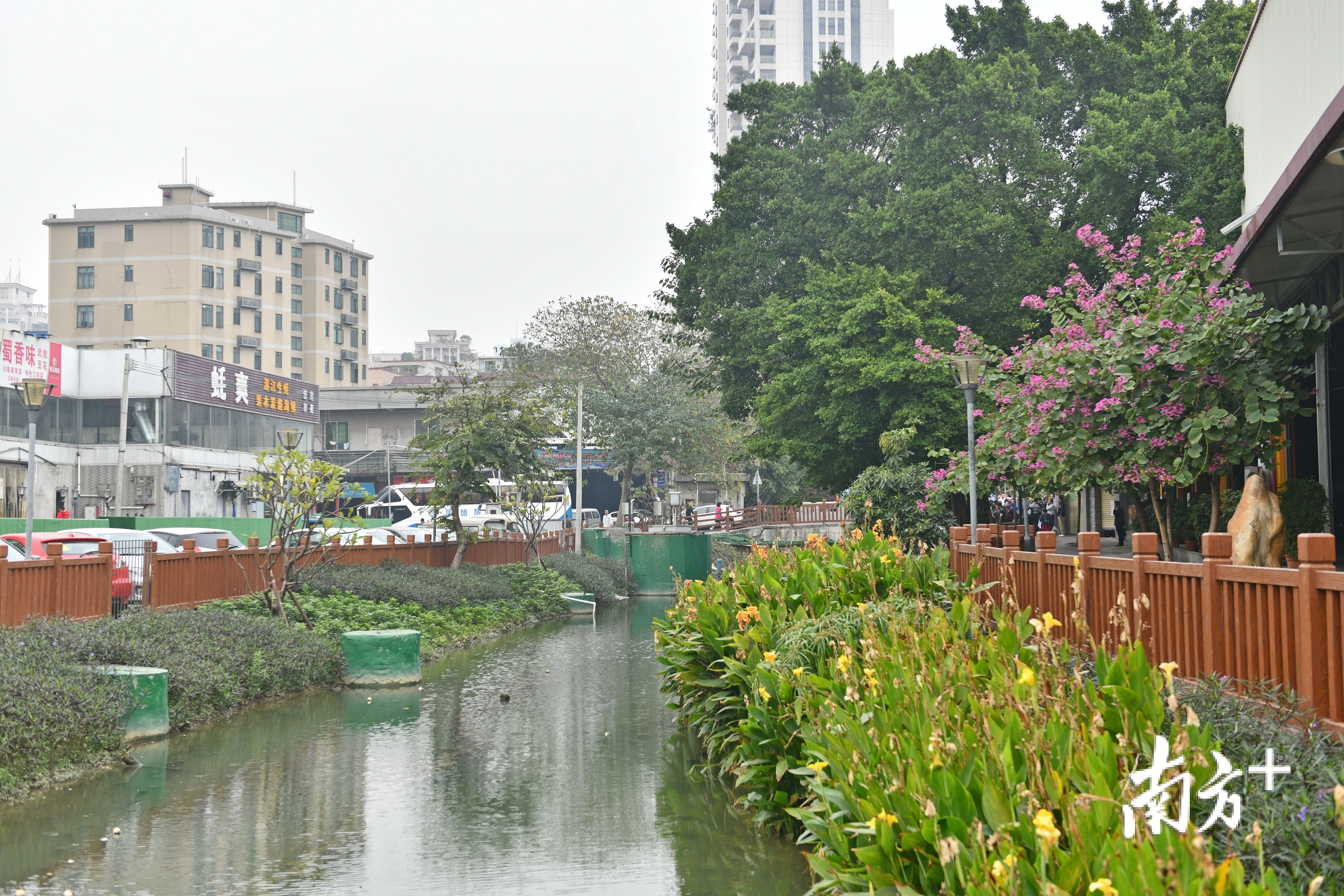 在田心涌旁,人们的日常生活因河涌变靓而变得更舒畅。 在田心涌旁,人们的日常生活因河涌变靓而变得更舒畅。