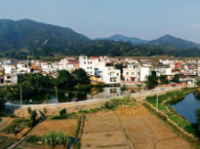 ​云浮白村：依托“五个三”，着力打造“五治”并进的善美乡村