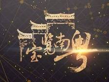 宝览南粤