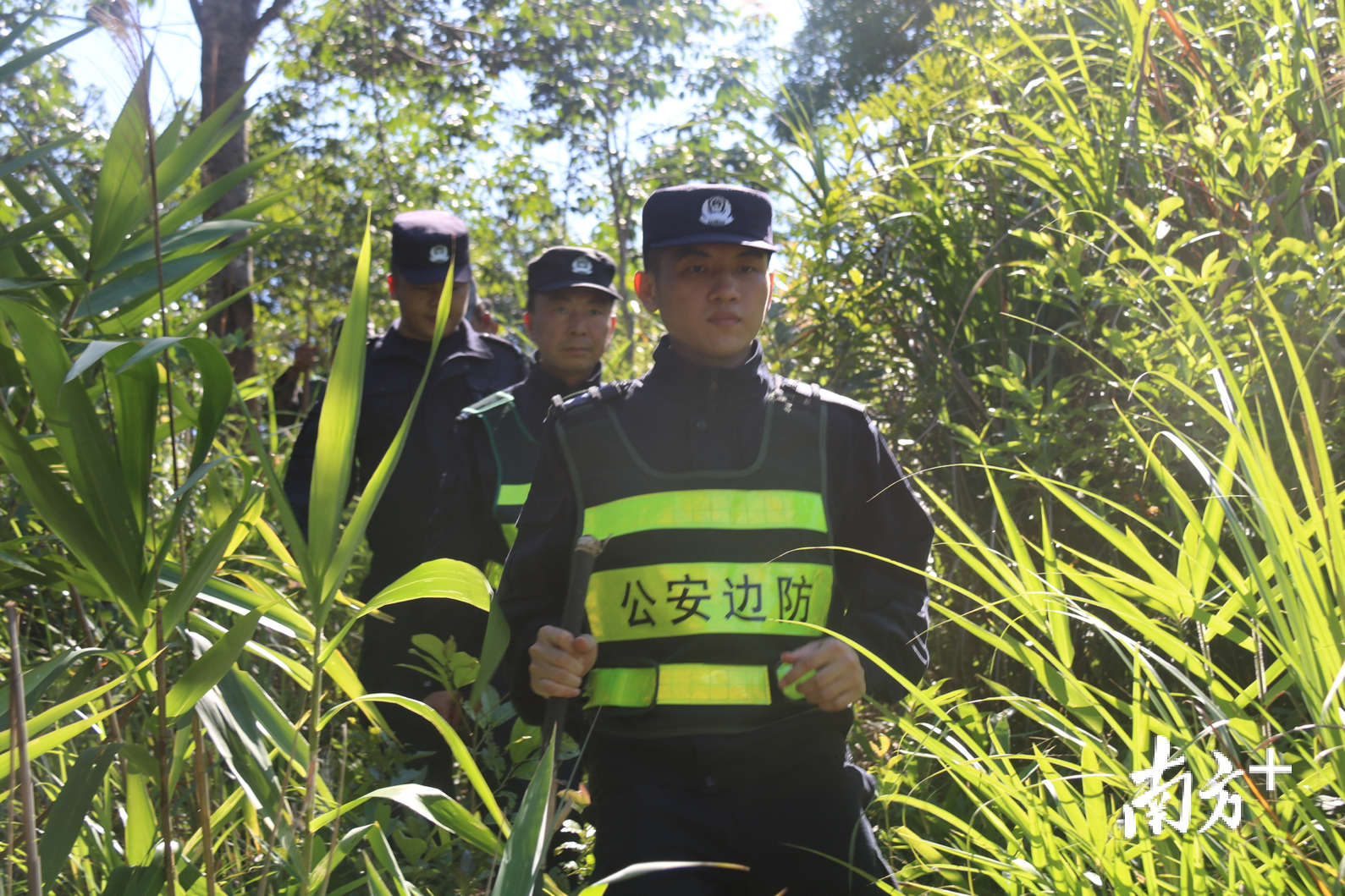 参与抓捕工作任务。