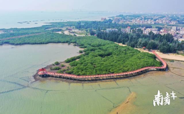 图集|秋日湛江，七彩田园