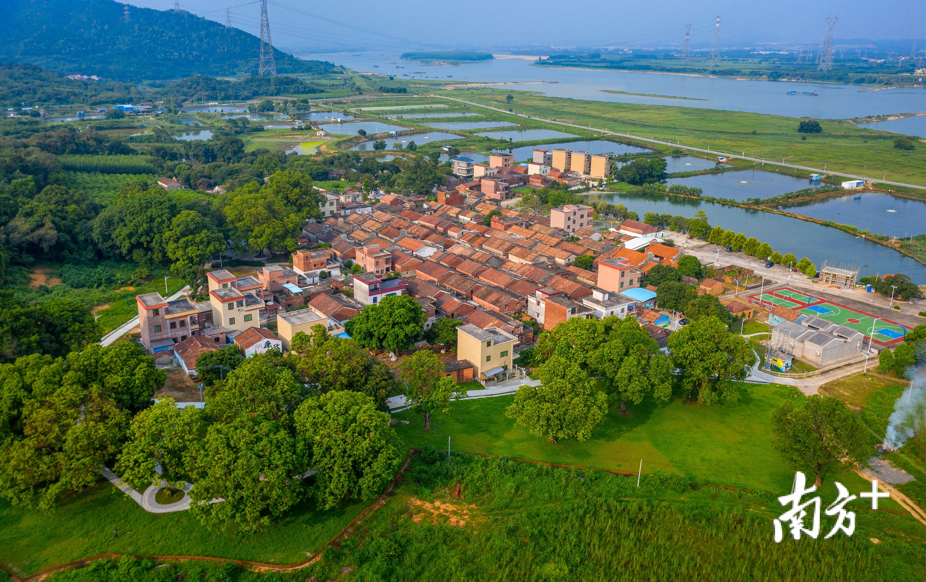 图说大塘城市三水镜美湾区采风作品优选③