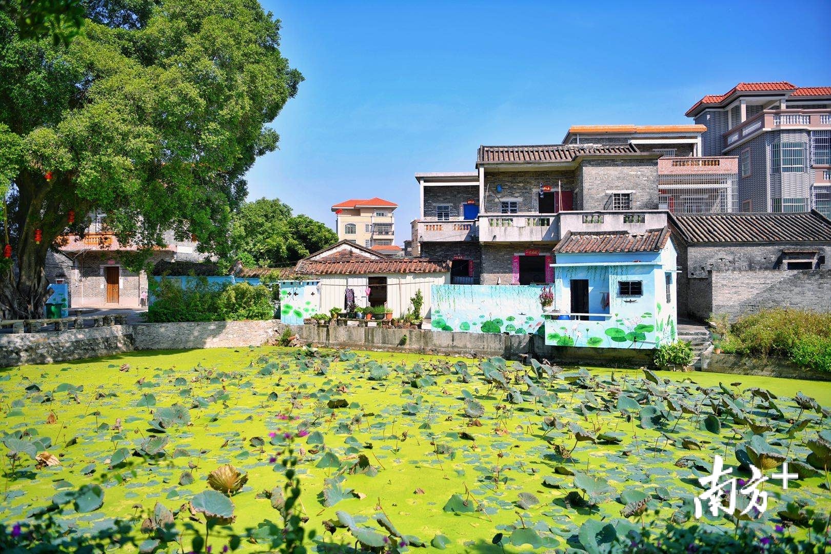 人居环境整治后,竹树坡村旧貌换新颜。 人居环境整治后,竹树坡村旧貌换新颜。