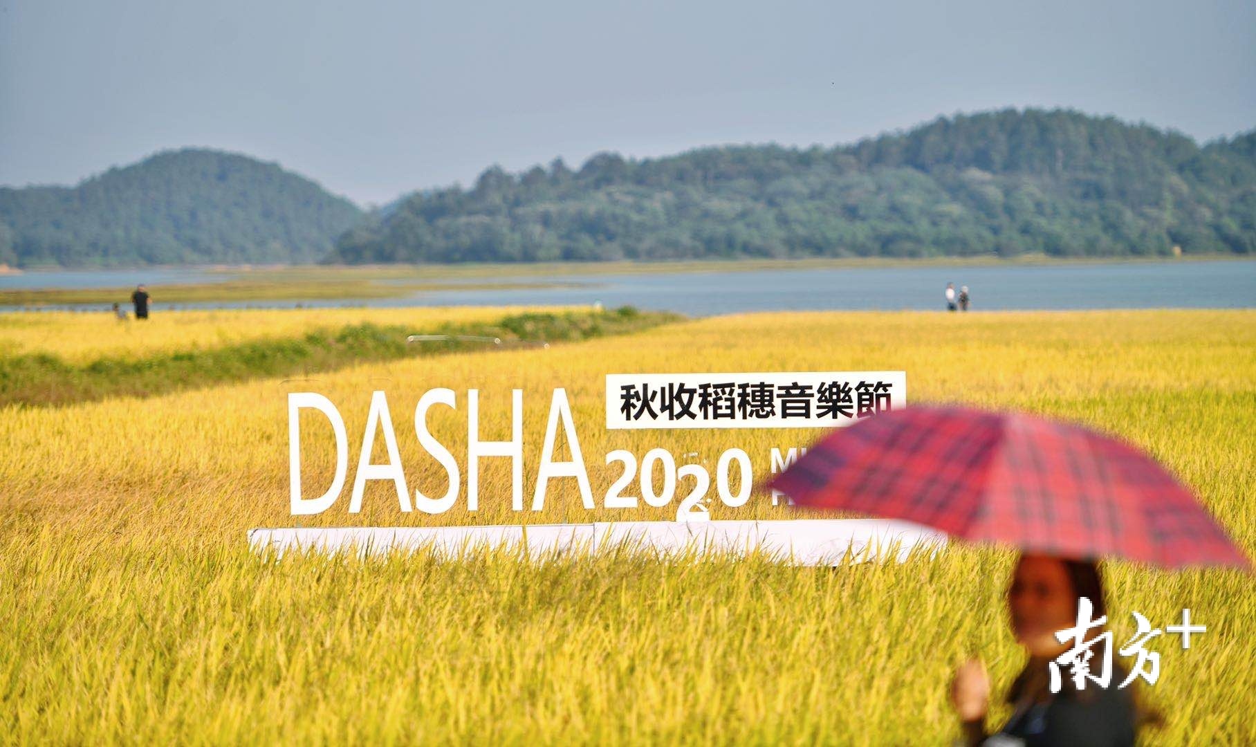 大塘面村举办了秋收稻穗音乐会。 大塘面村举办了秋收稻穗音乐会。